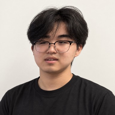 Ricardo, Six Friends team member